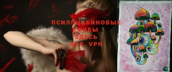 ALPHA PVP Краснослободск